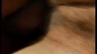 Pelose brasiliane mature porno anale all'aperto p20 scaricare gratis video di sesso india
