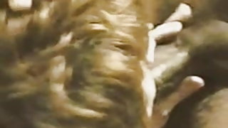 Calda moglie maturi amatoriale film porno soddisfare due BBC gratis porno fatti in casa filmati