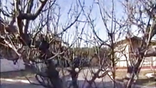Un giappone incinta porno onu casa calda part3 di film per adulti agenzia