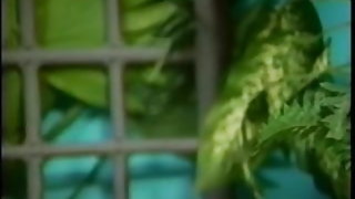 Cattivo maturo carino ragazza nera ama interrazziale cazzo bianco video porno gratis per ragazzi